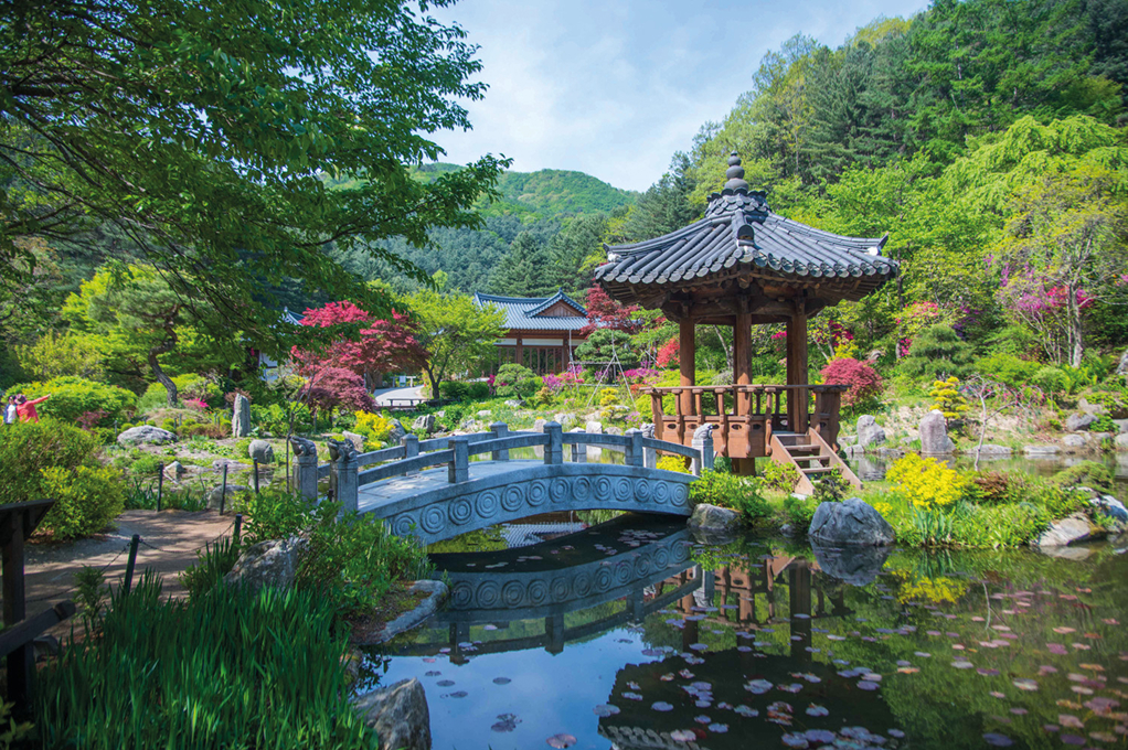 The Garden of Morning Calm