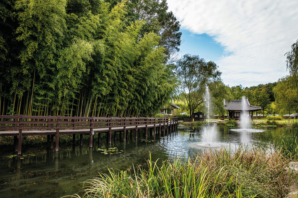 Juknokwon (Bamboo Garden) / Gwanbangjerim Forest