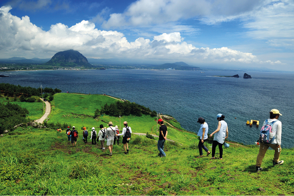 
				Jeju Olle Trail