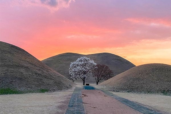 Gyeongju: Gourmet (Teil 2)