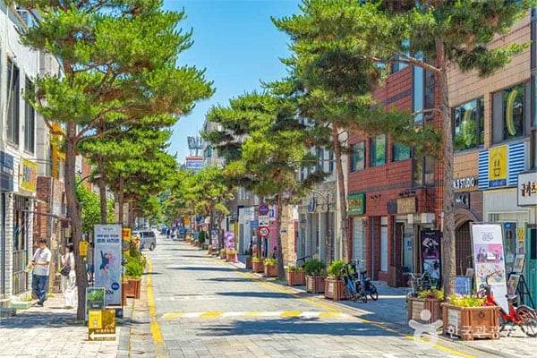 Suwon: Drehorte der koreanischen TV-Serie „Lovely Runner